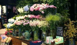 花店吃瓜视频爆料大全集,揭秘娱乐圈幕后风云